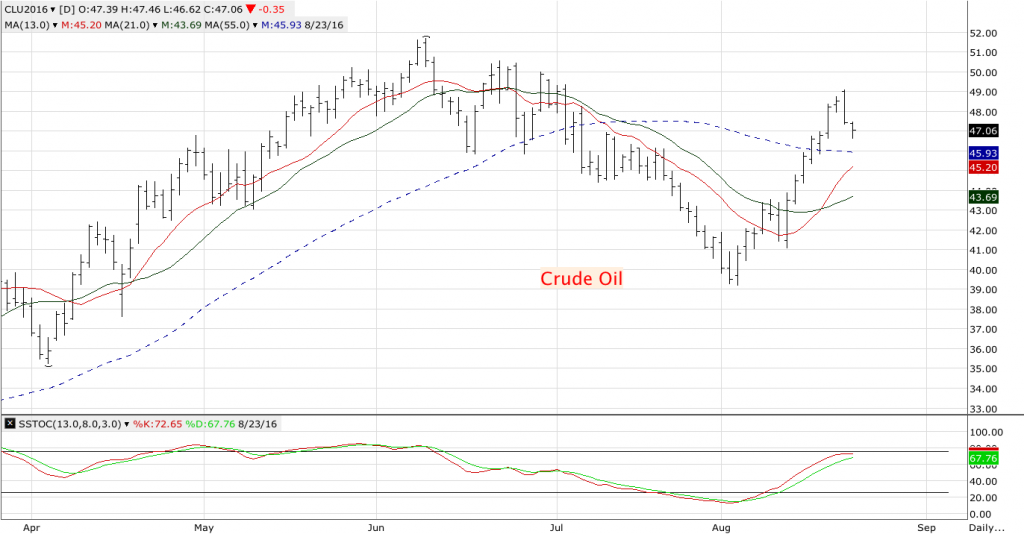 CLU16_Daily Nearest